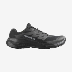 Salomon - Salomon Alphaglıde Gtx 478021 