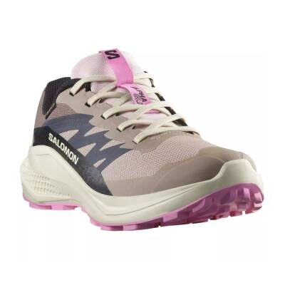 Salomon Alphaglıde Gtx W 478579  - 4