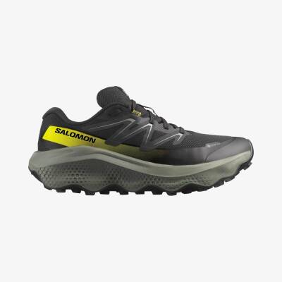 Salomon Ultra Flow 2 Gtx 478832  - 1